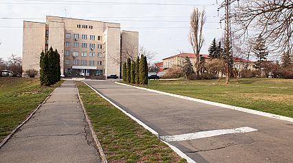 Як ми працюємо під час карантину