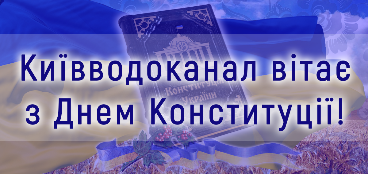 Вітаємо з Днем Конституції України!