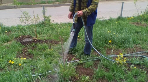 Полив прибудинкової території у багатоповерхівці: де взяти воду і хто за неї платить?